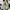 Asics Streetwear Sportswear Sneakers Pria tan cream photo 4