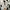 Nike Streetwear Sportswear Sneakers Pria white blue photo 6