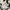 Nike Streetwear Sportswear Sneakers Pria white blue photo 5