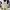 Nike Streetwear Casual Sneakers Wanita tan cream photo 3