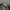New Era Casual Hat Pria multicolor photo 3