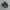 Nike Streetwear Y2K Sneakers Pria black photo 1