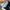 Adidas Streetwear Y2K Sneakers Pria black photo 2