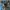New Balance Casual Sneakers Wanita blue black photo 5