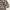 Streetwear Grunge Harrington jacket Pria tan cream photo 7