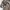 Streetwear Grunge Harrington jacket Pria tan cream photo 8