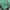 Japanese Brand Y2K Emo Jeans Pria Green