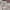 RIPVANWINKLE Vintage Casual Casual shirt Pria white photo 6