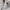 RIPVANWINKLE Vintage Casual Casual shirt Pria white photo 5