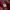 Vintage Casual Casual shirt Pria red gray photo 4