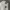 Lacoste Sportswear Casual Hoody Pria gray photo 4