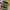 New Balance Streetwear Sportswear Sneakers Pria white gray photo 6