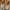 New Balance Streetwear Sportswear Sneakers Pria white gray photo 4
