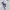 Nike Streetwear Sneakers Pria purple photo 1