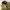 Vintage Pria brown photo 7
