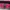 Polham Gorpcore Puffer jacket Wanita pink photo 6