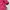 Polham Gorpcore Puffer jacket Wanita pink photo 5