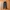 Champion Streetwear Sportswear Sweatpants & Joggers Pria black photo 1