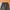 Champion Streetwear Sportswear Sweatpants & Joggers Pria black photo 5