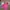 United Colors Of Benetton Y2K Casual Parka Pria Pink