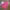 United Colors of Benetton Y2K Casual Parka Pria pink photo 2
