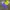 Nike Sportswear Casual Windbreaker Pria blue yellow photo 1