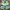 Adidas Sportswear Casual Short Pria green photo 1