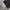 Japanese brand Streetwear Minimalist Sweatpants & Joggers Pria black photo 4