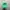 Japanese brand Vintage Streetwear Hat Pria white green photo 2