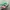 Japanese brand Vintage Streetwear Hat Pria white green photo 3