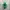 Japanese Brand Vintage Streetwear Hat Pria White Green