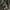 Uniqlo Streetwear Sportswear Sweatpants & Joggers Pria green photo 3