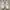 Nike Casual Sneakers Pria white photo 3