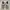 Nike Casual Sneakers Pria white photo 4
