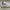 Nike Casual Sneakers Pria white photo 1