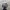 Japanese brand Y2K Grunge Hat Pria white black photo 2