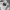 Stussy Minimalist Casual Hoody Pria white black photo 4