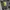 Streetwear Sweater Pria multicolor photo 1