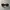 Vintage Y2K Sunglass Wanita burgundy brown photo 2