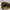 Vintage Y2K Sunglass Wanita burgundy brown photo 4