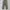 Dickies Casual Casual pants Pria khaki photo 5