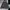 The North Face Gorpcore Windbreaker Pria black photo 1