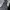 The North Face Gorpcore Windbreaker Pria black photo 3