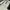 The North Face Gorpcore Windbreaker Pria black photo 8