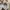 New Balance Casual Sneakers Kids cream photo 4