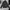 The North Face Gorpcore Casual Windbreaker Pria black photo 1
