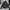 The North Face Gorpcore Casual Windbreaker Pria Black