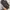 New Balance Casual Sneakers Kids black photo 5