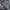 Jack Wolfskin Gorpcore Casual Windbreaker Pria black gray photo 4