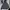 Jack Wolfskin Gorpcore Casual Windbreaker Pria Black Gray